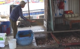 “Những hộ gia đình nuôi cá bè đang rất lo lắng về tình hình hạn mặn “