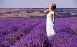 Miên man sắc tím lavender
