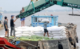 Xuất khẩu gạo giảm mạnh