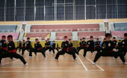 27 đoàn quốc tế tranh tài võ Việt