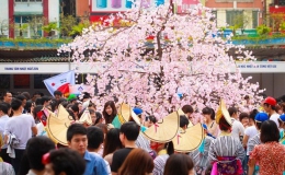 Đặc sắc lễ hội giao lưu văn hóa Việt-Nhật