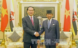 Chủ tịch nước Trần Đại Quang hội kiến, hội đàm với Quốc vương Brunei
