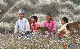 “Nụ cười Việt Nam”, những khoảnh khắc đầy cảm xúc