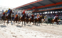 Bình Dương tổ chức đua ngựa, đua xe mừng Xuân Đinh Dậu