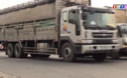 Câu chuyện pháp luật “Tình hình thực hiện quy định về điều kiện kinh doanh vận tải ô tô ở Tiền Giang”