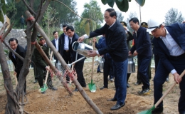 Chủ tịch nước phát động Tết trồng cây