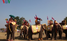 Lào chuẩn bị cho Lễ hội voi Xayaboury 2017