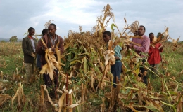 FAO cảnh báo nạn đói tại các khu vực xung đột