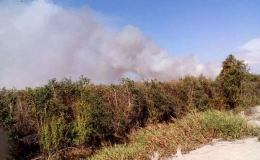 Cháy lớn thiêu rụi gần 30 ha rừng tràm tại An Giang