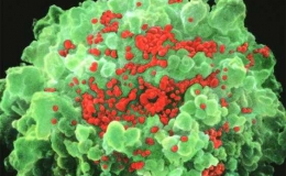 Mỹ nghiên cứu thành công Vắc xin phòng chống HIV