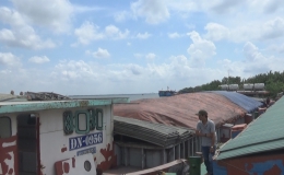 BĐBP Tiền Giang tạm giữ phương tiện vận chuyển 1.300 tấn than cám không có chứng từ, hóa đơn