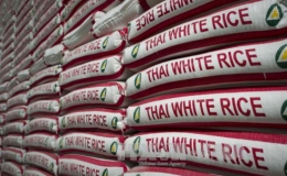Thái Lan xả toàn bộ gạo dự trữ trong kho quốc gia