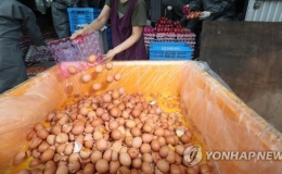 Chính phủ Hàn Quốc xin lỗi người dân vì vụ bê bối trứng bẩn