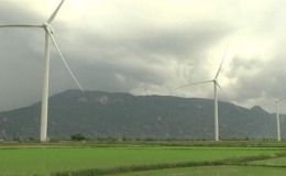 Công trình điện gió đầu tiên hòa vào mạng lưới điện Quốc gia