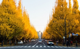 Mùa thu đẹp đến nao lòng ở Tokyo