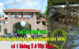 Trại rắn Đồng Tâm nơi lưu giữ hàng ngàn cá thể rắn quý hiếm có 1 không 2 ở Việt nam
