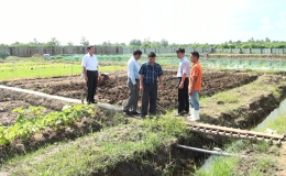 Chi cục Quản lý Chất lượng Nông lâm sản và Thủy sản tỉnh Tiền Giang giám sát an toàn thực phẩm tại Thị xã Gò Công