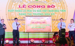Tiền Giang công bố xuất khẩu lô trái vú sữa Việt Nam đầu tiên sang thị trường Hoa Kỳ
