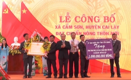 Xã Cẩm Sơn đón nhận danh hiệu “Xã đạt chuẩn nông thôn mới”