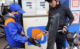 Giá xăng không đổi, giá dầu tăng từ 235 đến 495 đồng/lít