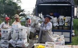Thương lái đổ về làng hoa lớn nhất Tiền Giang thu mua hoa Tết