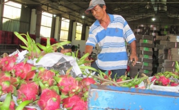 Trung Quốc “siết” nhập khẩu trái cây từ Việt Nam