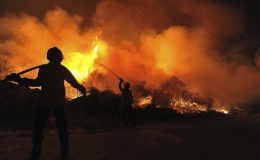 Cháy rừng ở Ấn Độ, ít nhất 9 người chết, hàng chục người bị thương