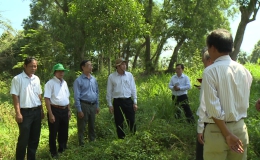 Chủ tịch UBND tỉnh Tiền Giang kiểm tra các dự án đầu tư trọng điểm