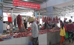 Cai Lậy tổ chức 25 điểm kinh doanh thịt heo được kiểm soát chất cấm