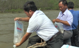 Tân Phú Đông thả hơn 250.000 con tôm giống tái tạo nguồn lợi thủy sản