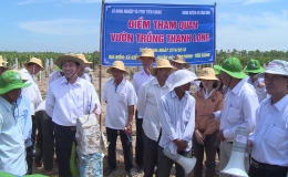 Lãnh đạo UBND tỉnh Tiền Giang gặp gỡ nông dân trồng thanh long các huyện phía Đông