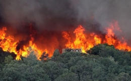 Hàng nghìn người phải sơ tán do cháy rừng ở California, Mỹ