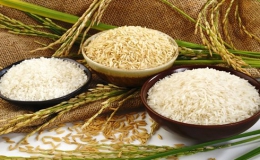 Giá trị xuất khẩu gạo tăng mạnh, Trung Quốc vẫn là thị trường chính