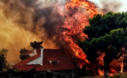 Cháy rừng ở Hy Lạp: Số người thương vong tăng mạnh