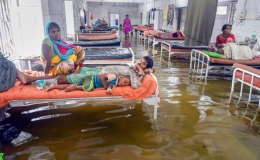 Ấn Độ: Mưa lớn gây ngập nặng, cá bơi vào bệnh viện