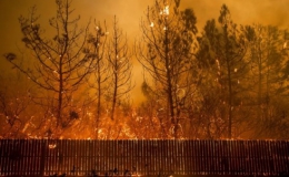 Mỹ: Cháy rừng nghiêm trọng nhất trong lịch sử