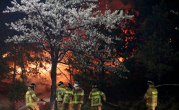Hàn Quốc đối mặt thảm họa cháy rừng