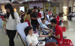 Đoàn Khối các cơ quan tỉnh Tiền Giang hiến 286 đơn vị máu