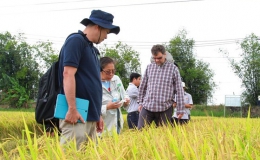 ĐBSCL giảm trồng lúa để phù hợp với biến đổi khí hậu