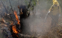 Brazil nói không với tiền viện trợ cứu rừng Amazon của G7