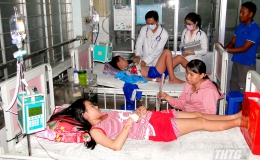 Tiền Giang có gần 2.400 trường hợp mắc bệnh sốt xuất huyết