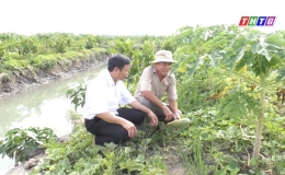 Chuyên đề 26-11 “Xã Mỹ Thành Nam thực hiện chuyên đề thi đua nông dân sản xuất giỏi…”