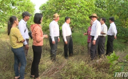Chủ tịch UBND tỉnh Tiền Giang khảo sát thực tế tình hình sản xuất nông nghiệp huyện Tân Phú Đông