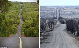 Ám ảnh cảnh tượng ở Australia trước và sau thảm họa cháy rừng