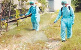 Việt Nam đang có 16 ổ dịch cúm H5N6 và H5N1
