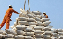 Thủ tướng đồng ý cho xuất khẩu gạo có kiểm soát