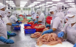 Hoa Kỳ giảm thuế cho doanh nghiệp xuất khẩu cá tra của Việt Nam