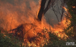 Cháy gần khu dân cư thị trấn Mỹ Phước, nhiều người hốt hoảng