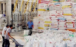 Giá gạo Việt Nam xuất khẩu vượt qua Thái Lan