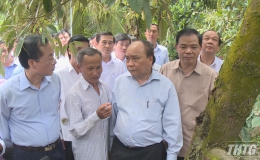 Thủ tướng Nguyễn Xuân Phúc khảo sát vườn sầu riêng tại Cai Lậy